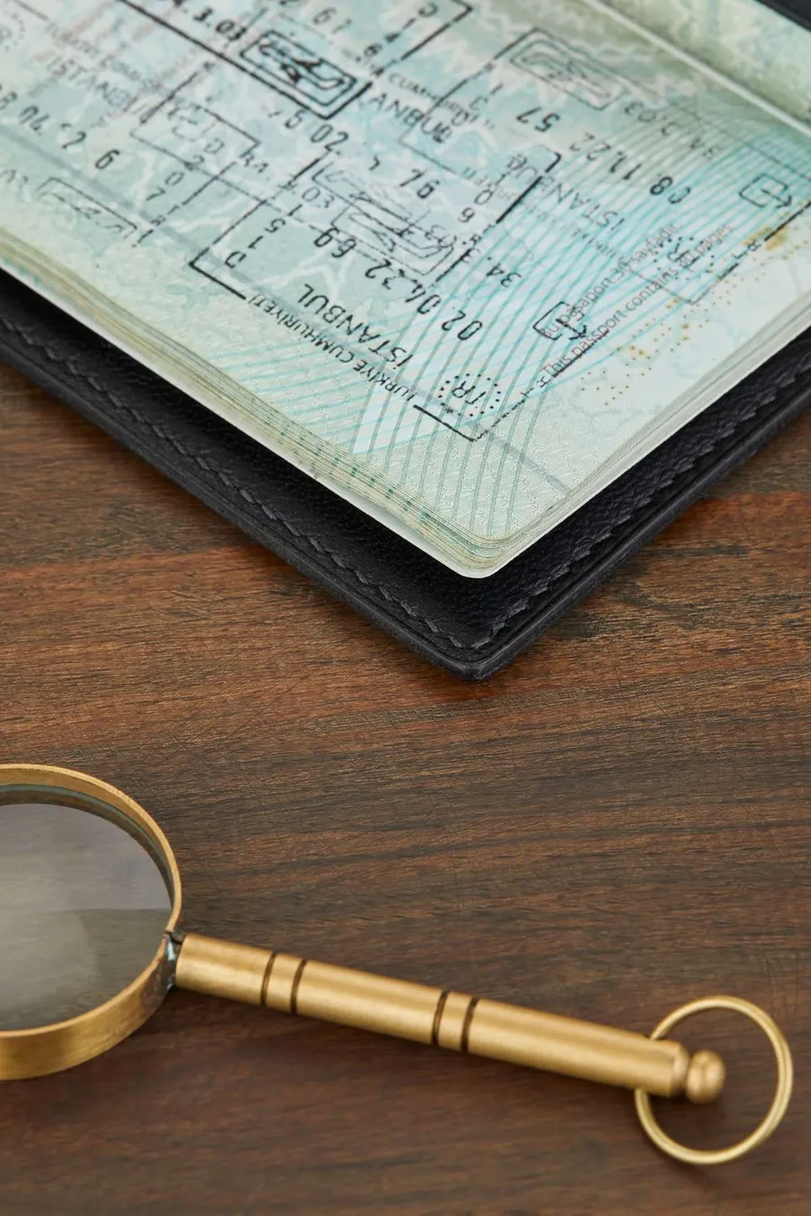 Magnus Deri Pasaport Kılıfı